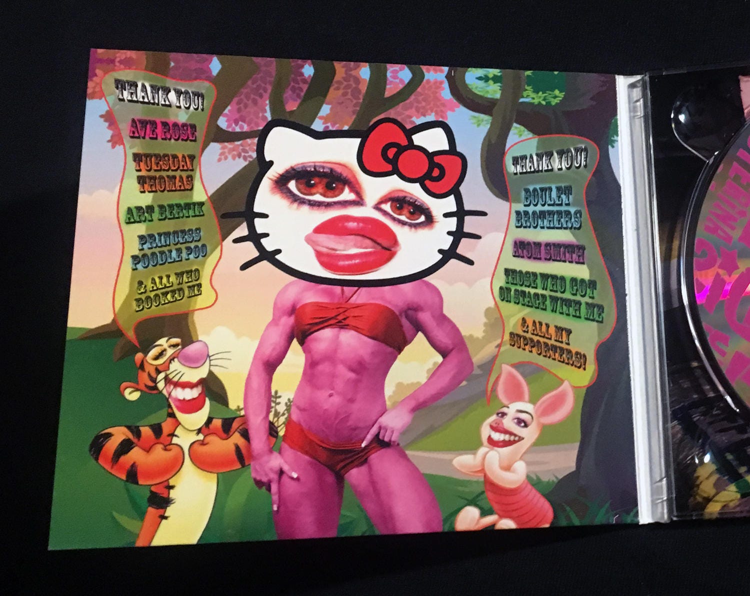 LA's Most Disastrous Drag Queen - Disasterina CD